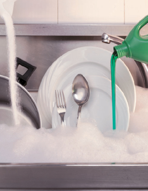 Detergentes Ecológicos