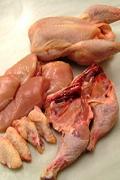 Lot organic chicken meat. Box with 11 Kg.