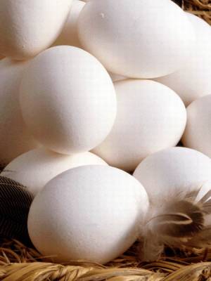 Alimentos Ecológicos